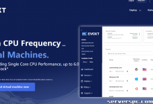 [埃沃斯特]Ryzen / Intel / GPU 专用服务器在马来西亚 |中国优化航线可用-服务器评测