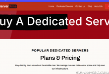 *双 E5-2650L v2（256GB RAM）、2TB SSD、10GB DDOS。德克萨斯州达拉斯。$85/m（几乎消失）-服务器评测