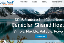 PureVoltage秋季专属活动：美国多机房10Gbps带宽尊享，200TB流量，EPYC/锐龙处理器服务器定制方案$40起-服务器评测