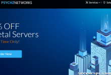 PSYCHZ NETWORKS：10Gbps独享带宽不限流量高性能服务器-服务器评测