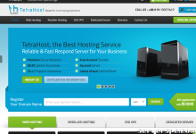 TetraHost：特供独享IP服务器，月付仅$75起 | 美国/新加坡机房-服务器评测