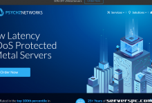 超高速服务器首选 · PSYCHZ NETWORKS 10Gbps不限流量闪电部署 · 专业网络优化托管-服务器评测