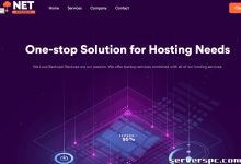 本周特惠：英特尔至强 E3-1265Lv3 服务器，月付仅39美元 | NetDynamics LLC 提供-服务器评测