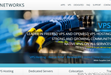 ARP Thunder™ 高性能服务器 | 限时风暴价月付$40 | 4GB内存+双硬盘-服务器评测