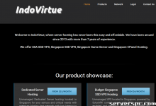 独家新加坡服务器 · 55美元/月起 | 100M不限流/可选1G | 16GB内存 | 支持加密货币支付-服务器评测