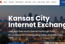 【高性价比独服】16核32线程/64GB内存/2x500GB SSD/10Gbps端口/月付$49-服务器评测